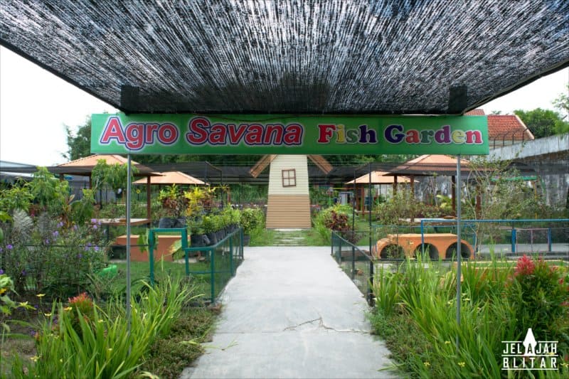 Agro Savana di Fish Garden