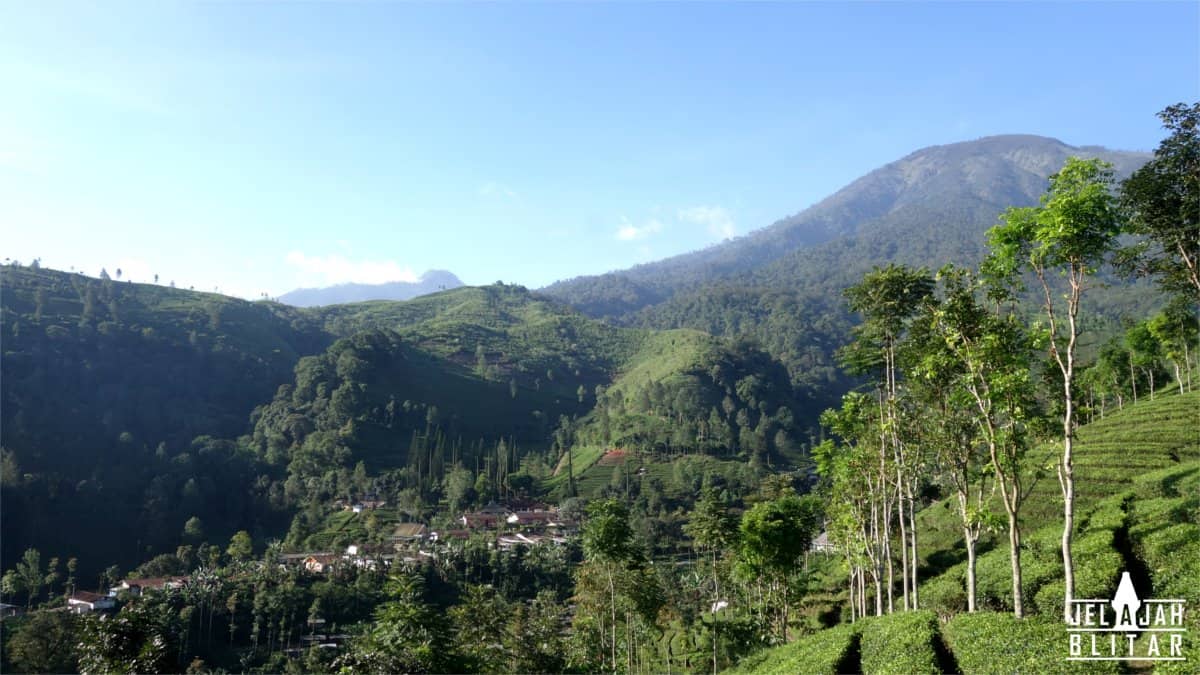 Gn Kawi dari Sekitar Candi Sirah Kencong