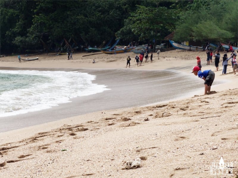 Wisatawan Pantai Pangi