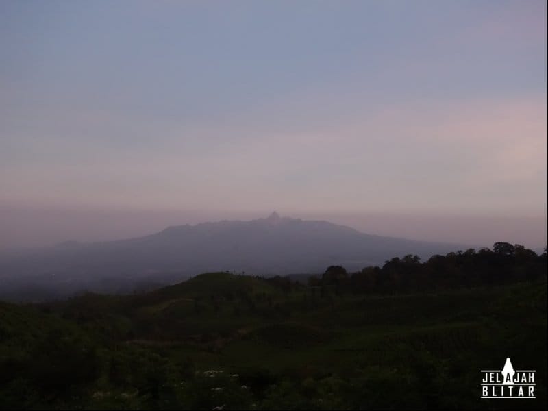 View Gn Kelud dari Wukir Negoro